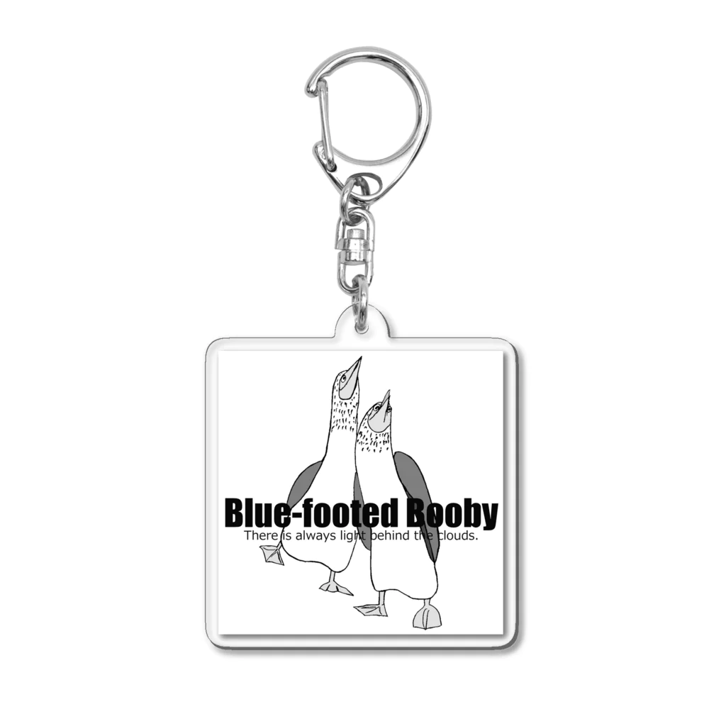 オルセットはこぐまのアオアシカツオドリ(mono) Acrylic Key Chain