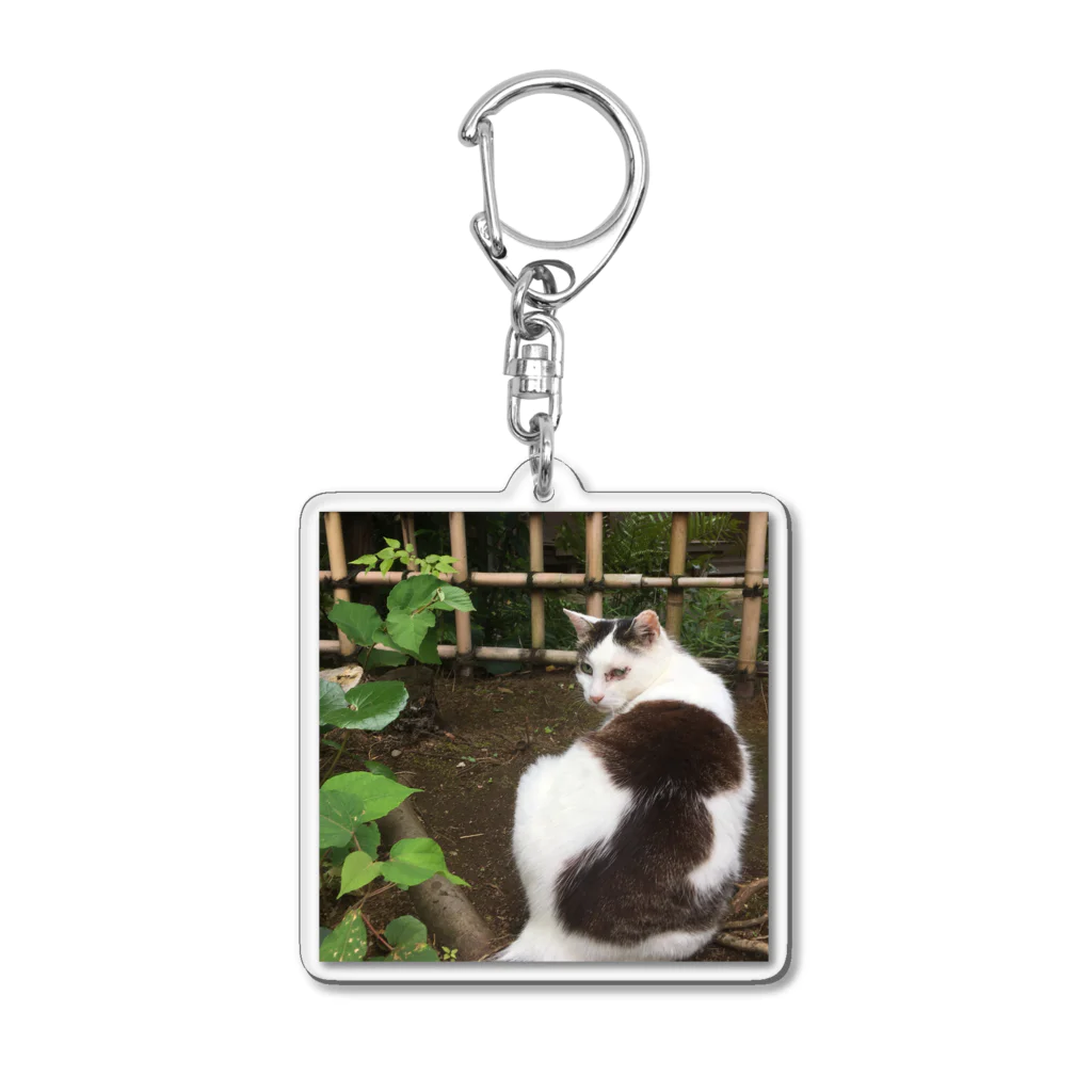 travelohayuの振り返り美猫図 Acrylic Key Chain