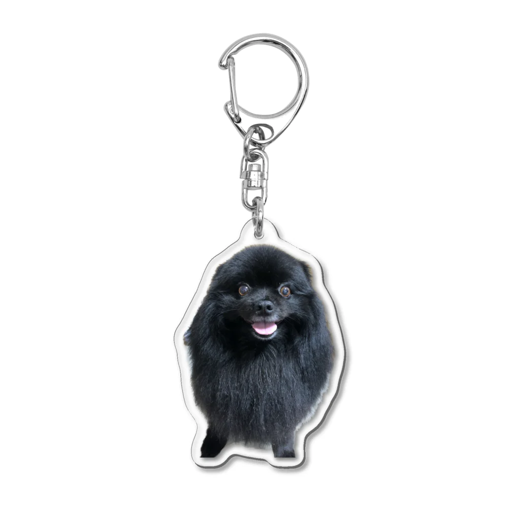 かねこまの8歳のスーティ Acrylic Key Chain