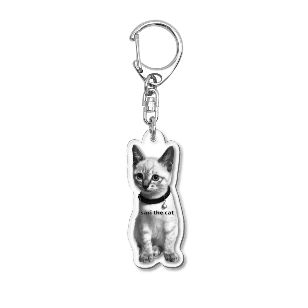 sari the catのsari the cat Vol.2 Acrylic Key Chain