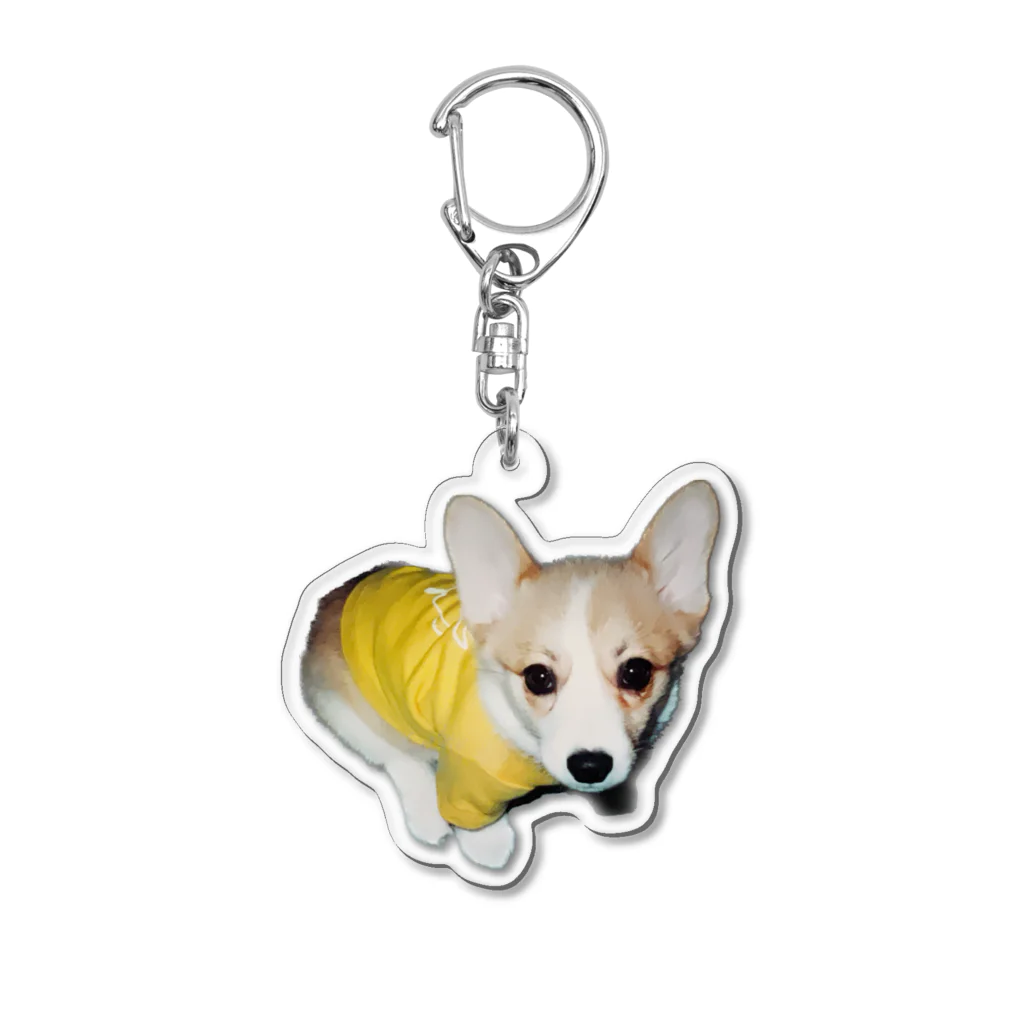 corgimaniaのコーギーbelle_3 アクリルキーホルダー