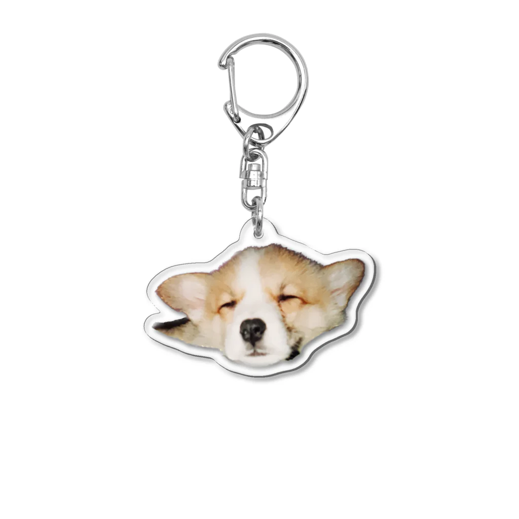 corgimaniaのコーギーbelle_5 アクリルキーホルダー