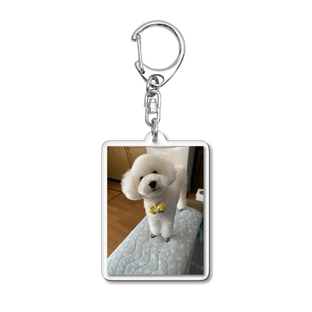 eluberryのTOYザラス Acrylic Key Chain