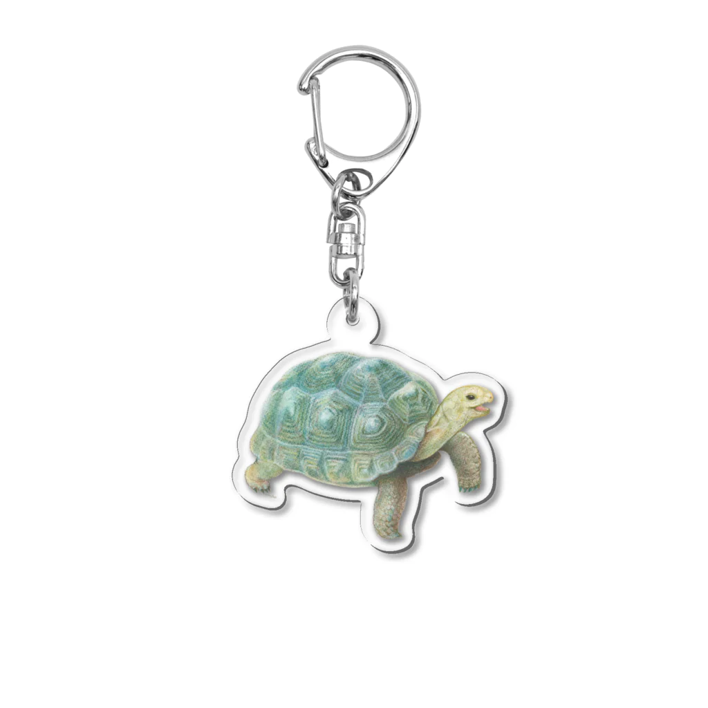 めろんぽっぷのお店だよの踏みだせ、アルダブラゾウガメ。 Acrylic Key Chain