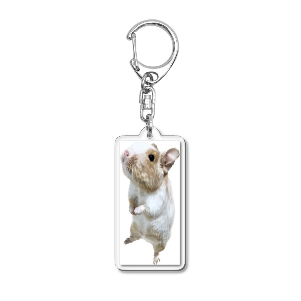 デグーのプラハのお話を聴くデグー Acrylic Key Chain