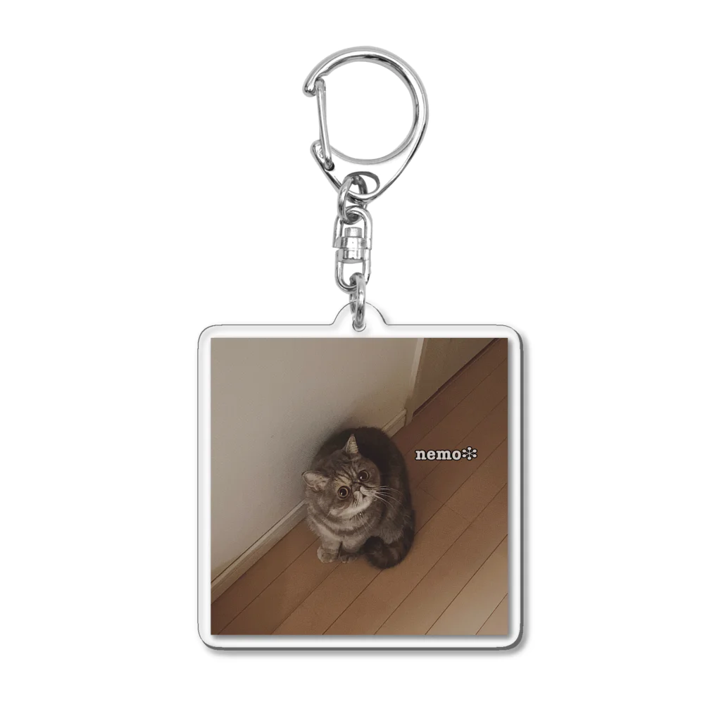 ネモちゃんのおうちのネモちゃんアイテム Acrylic Key Chain