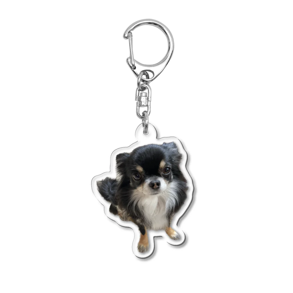 ちわわのりんちゃんのちわわのりんちゃん Acrylic Key Chain