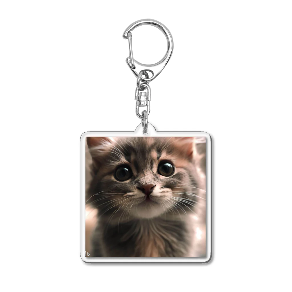 猫だらけ！のゆるしてにゃ～ Acrylic Key Chain