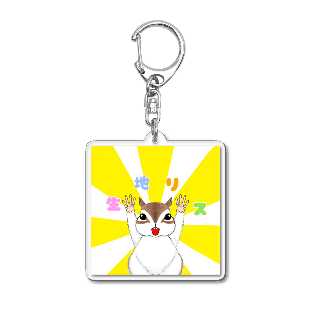 服の作り方と型紙うさこの洋裁工房の布が大スキ！　生地リス Acrylic Key Chain