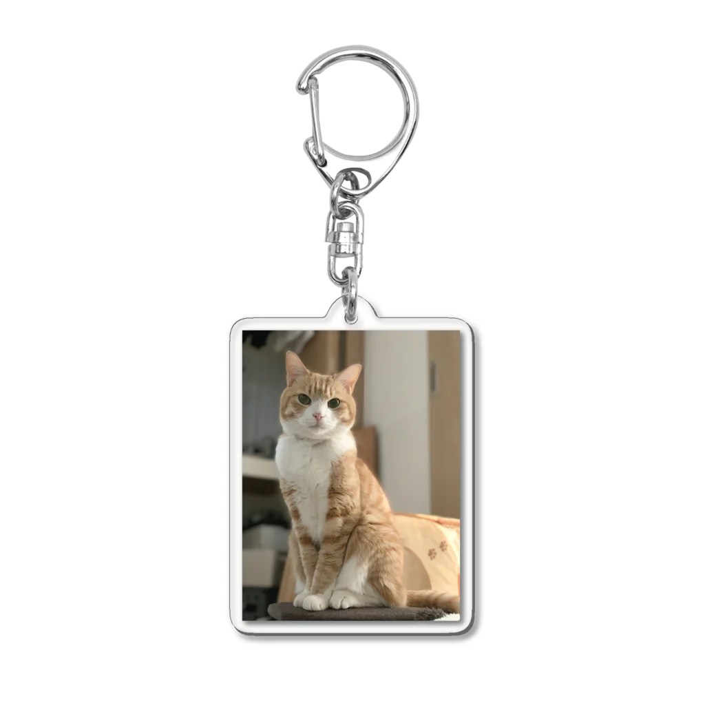 飴色の猫のチロル Acrylic Key Chain