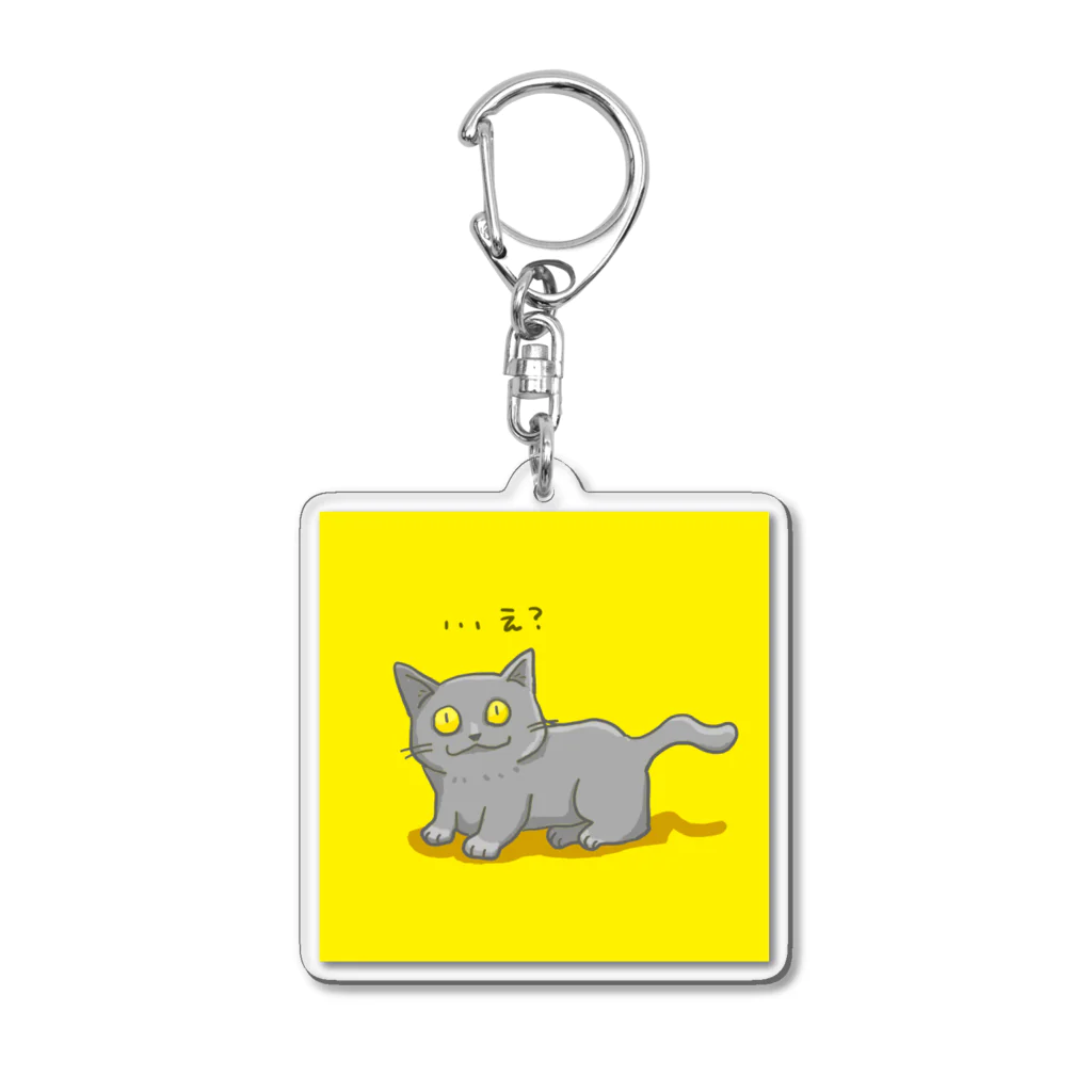 もちけらの話を聞いてなかった猫ちゃん。 Acrylic Key Chain