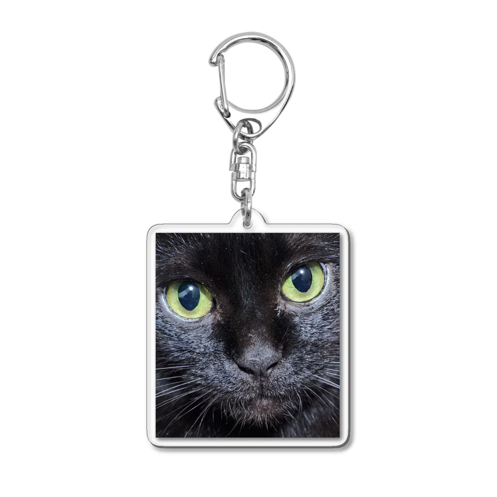 YSD-yamatoのPrettyCat　ヤマト Acrylic Key Chain