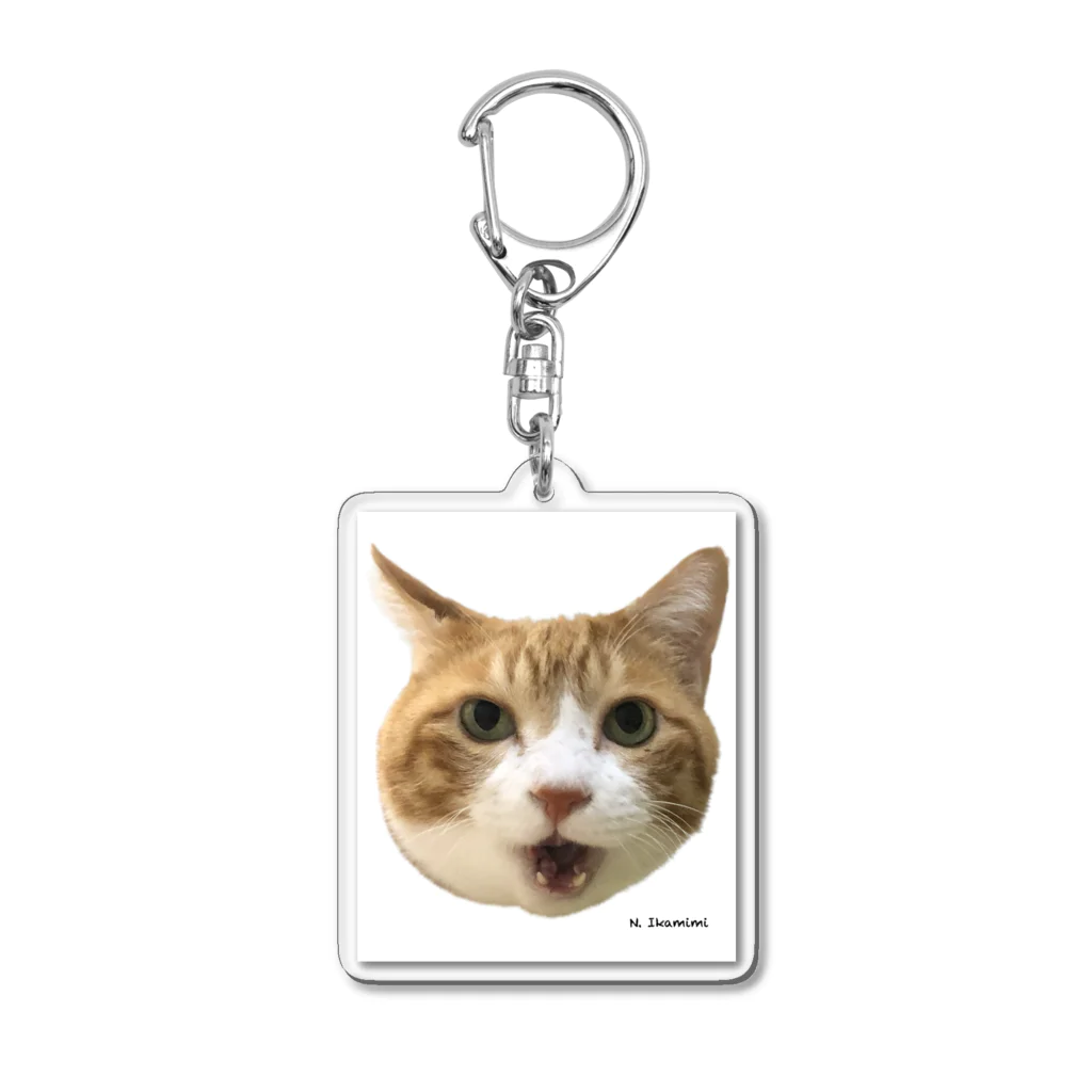 猫乃イカ耳の茶トラ猫さんフェイス Acrylic Key Chain