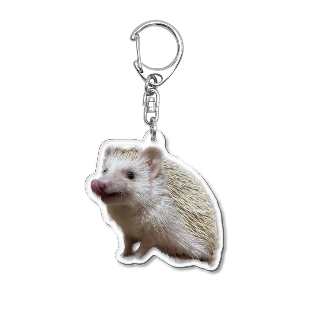 🌸ここあ🎀メイドカフェ🦔のハリネズミ アクリルキーホルダー アクリルキーホルダー