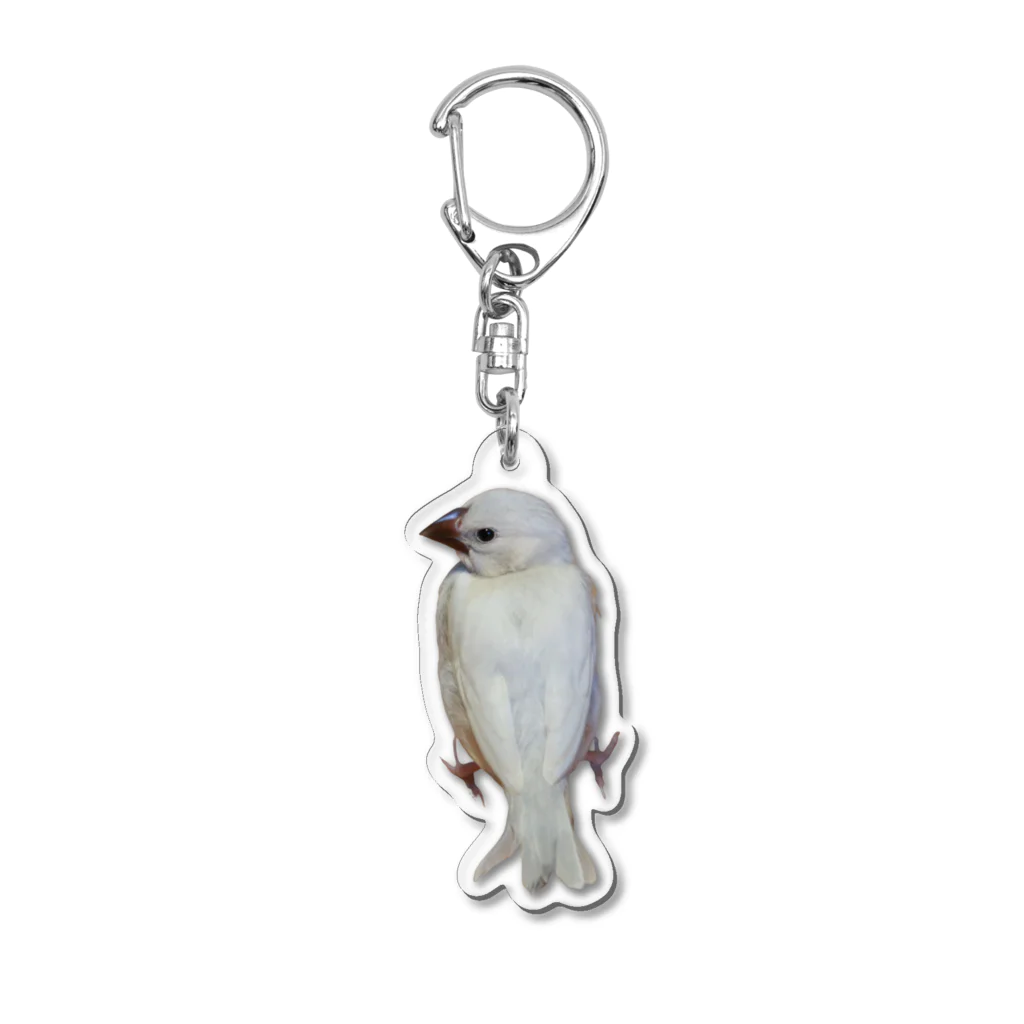 今日も喧嘩日和のろい Acrylic Key Chain