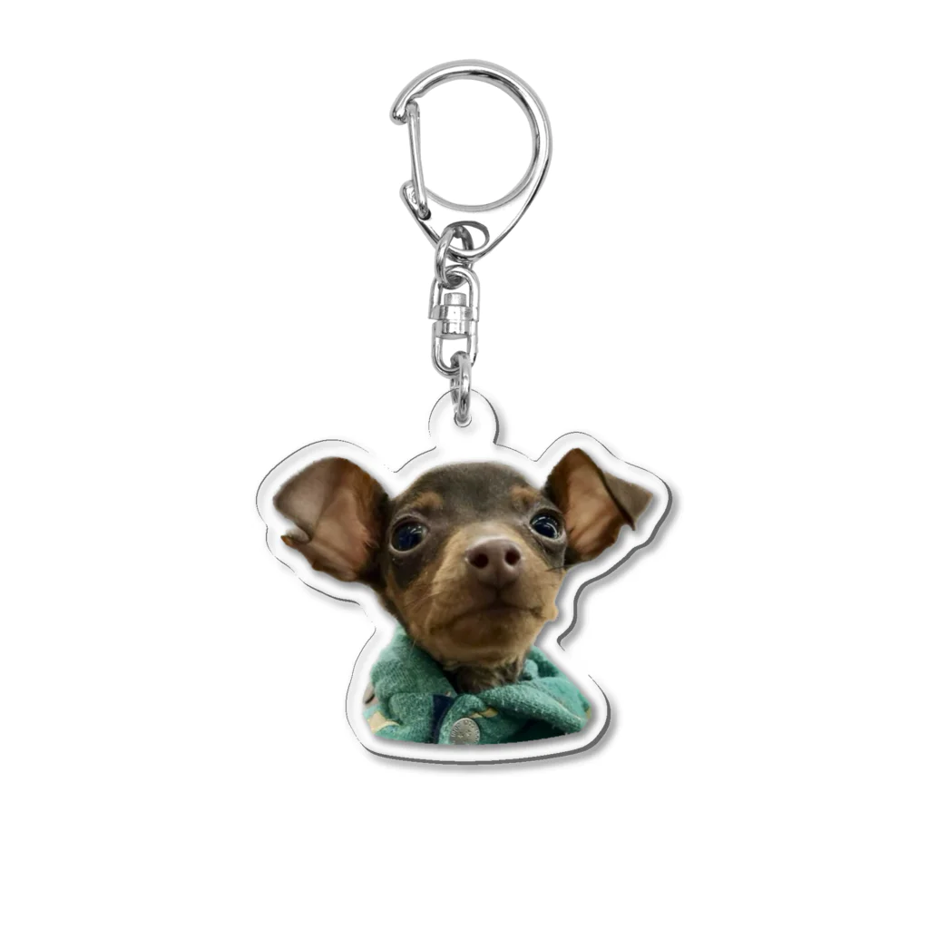 Habirle_PrinceのBow Wow Baby Acrylic Key Chain