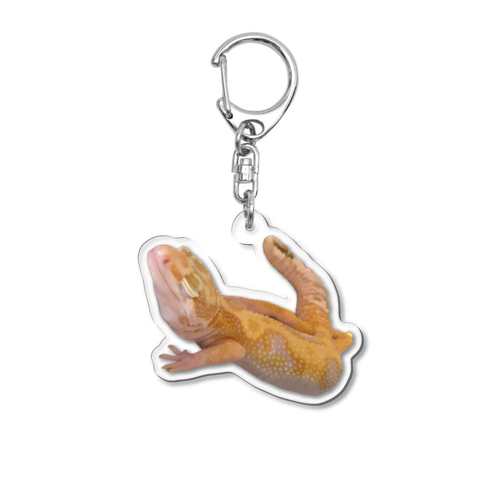 ワイン普及協会のこてつ2 Acrylic Key Chain