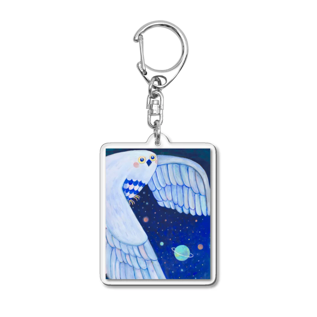 ぶたのたんこぶのうちゅうふくろう Acrylic Key Chain