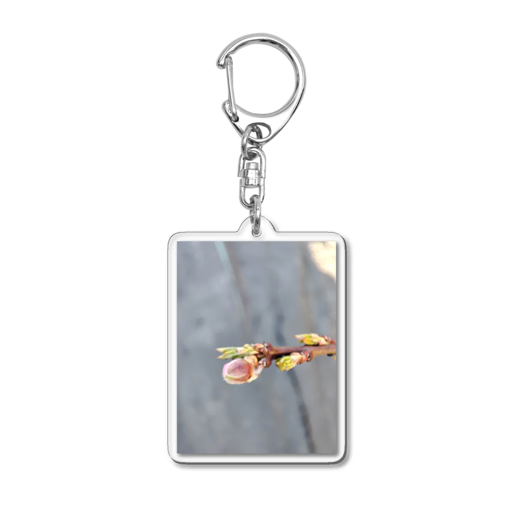 aya_ayaの芽生え Acrylic Key Chain