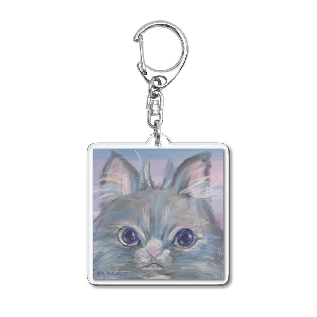 猫のきぬくんのお店のフクロウじゃないもん Acrylic Key Chain