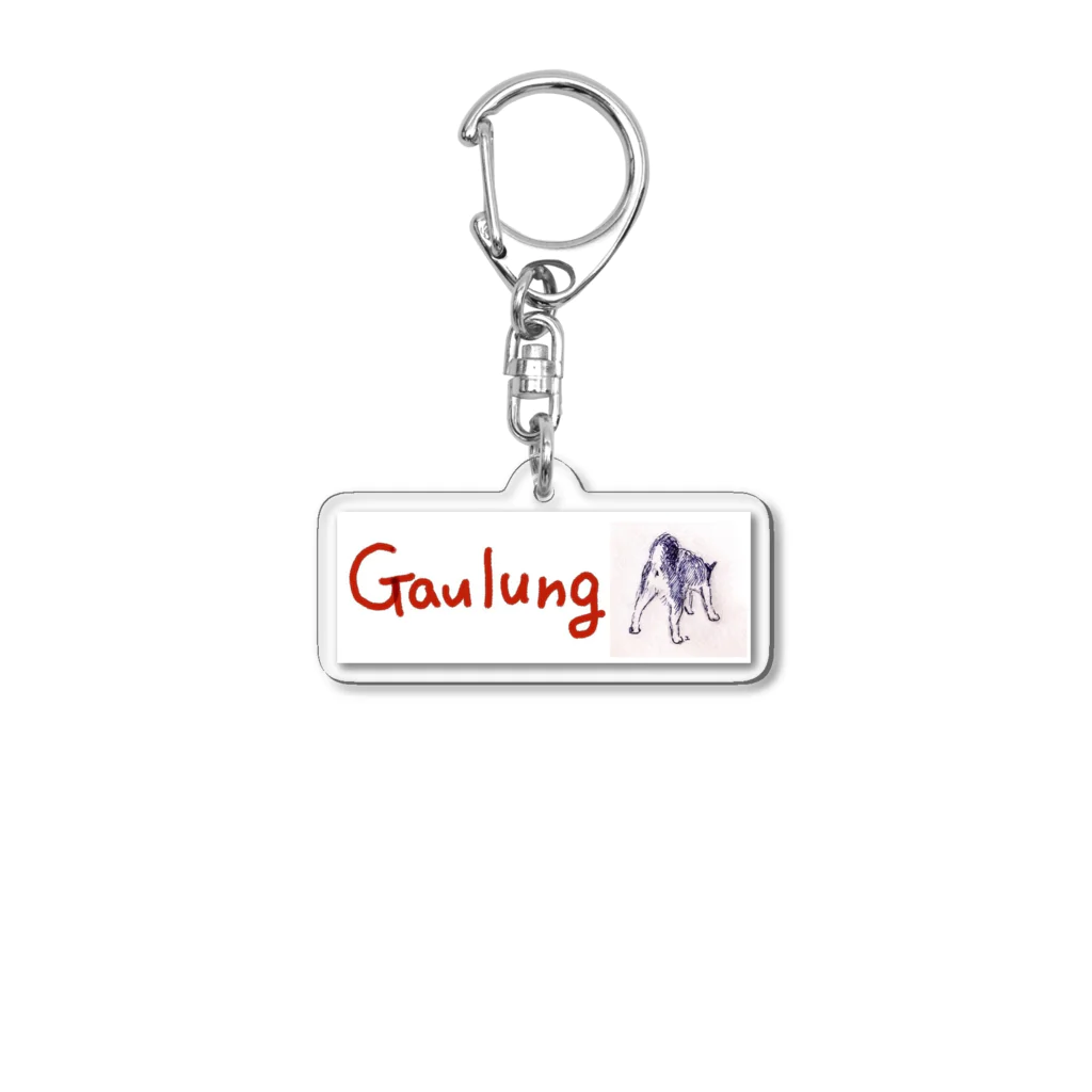 クボタユキのGaulungガウロン Acrylic Key Chain