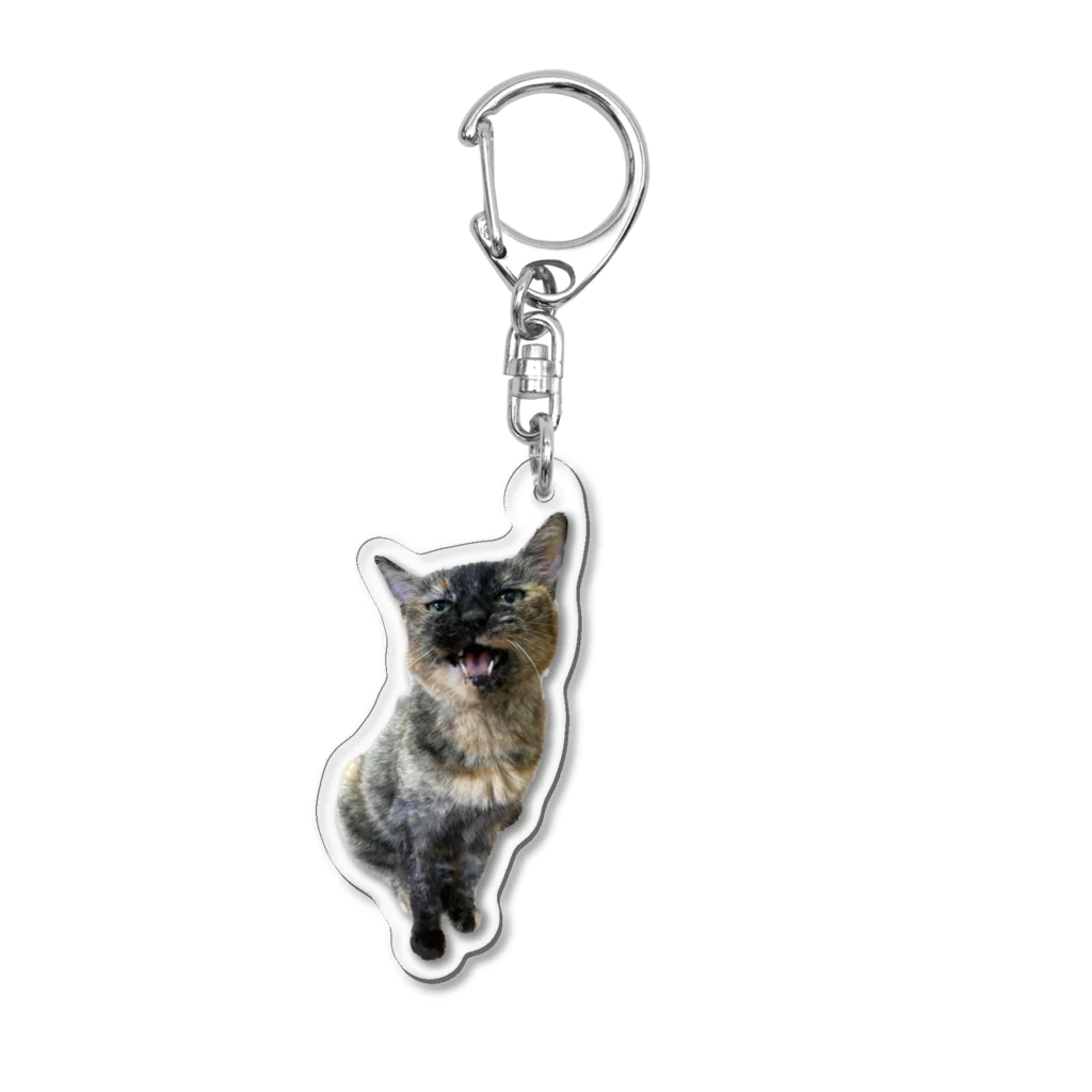 shop さびにすとのサビ猫のらみちゃん アクリルキーホルダー