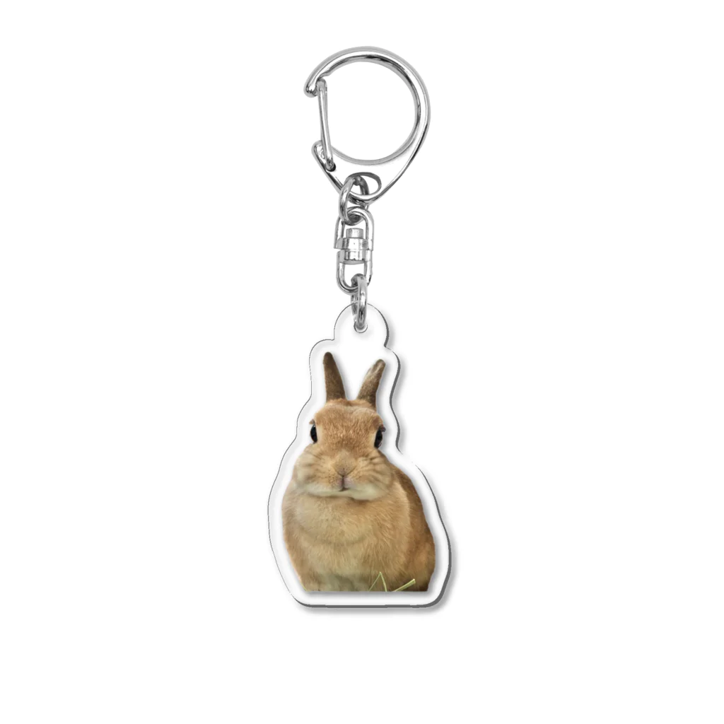 うさのロゴグッズの最新ウサグッズ Acrylic Key Chain