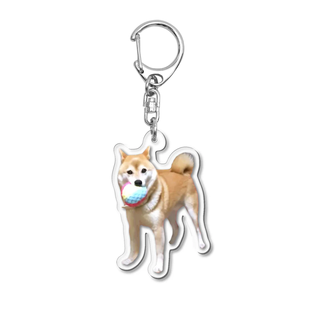 inubotのボールキャッチできておどろく犬 Acrylic Key Chain