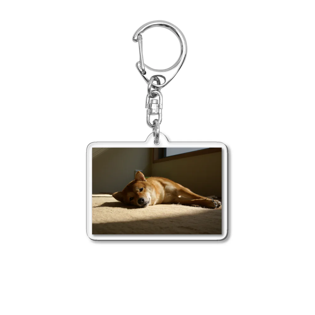 朔工房の夕焼けの柴犬 Acrylic Key Chain