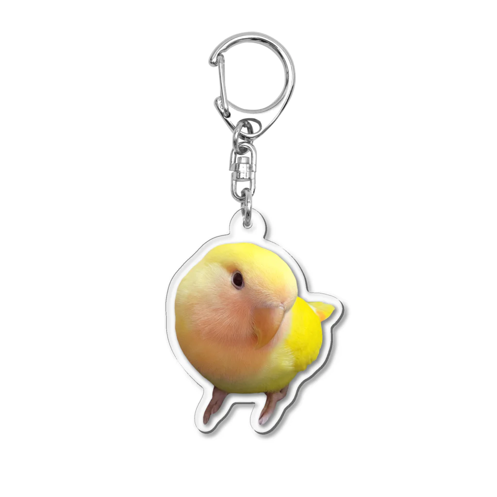 わんぬのチノちゃんアクキー Acrylic Key Chain