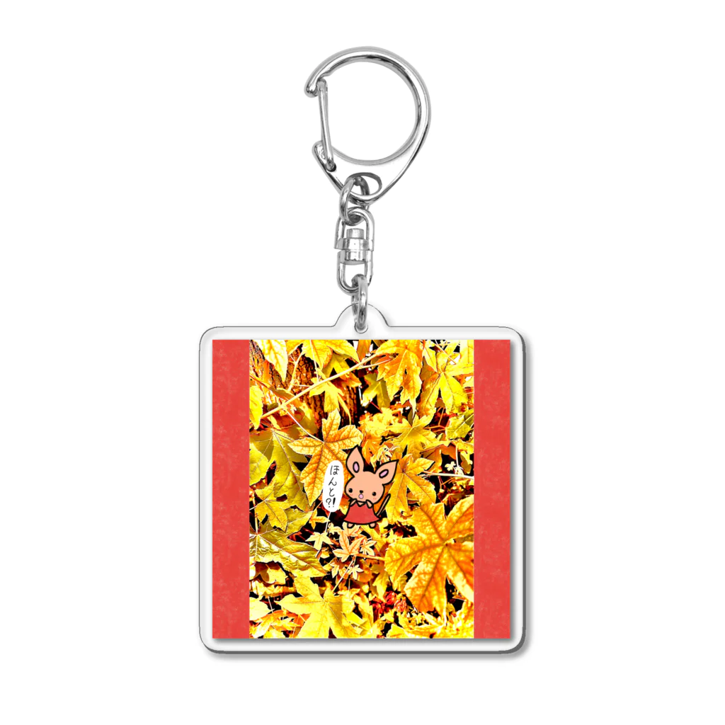 STYLISH EYESのはずかしがりやのみぃみちゃん No.1 Acrylic Key Chain