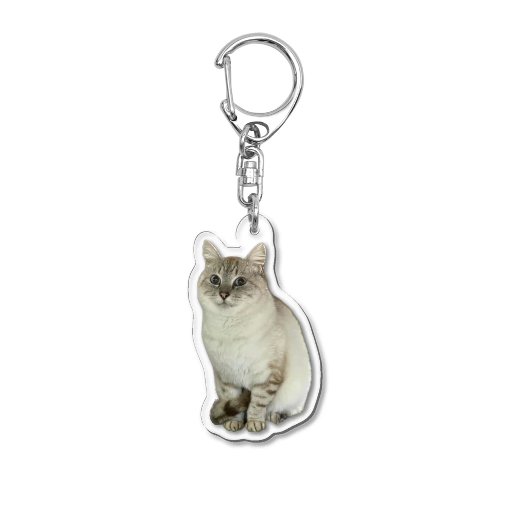 元野良猫しらたまグッズの元野良猫しらたま Acrylic Key Chain