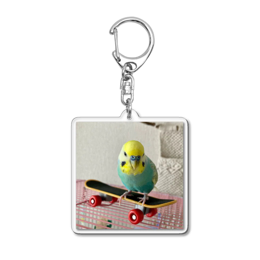 そらゆめインコのスケボーインコ Acrylic Key Chain