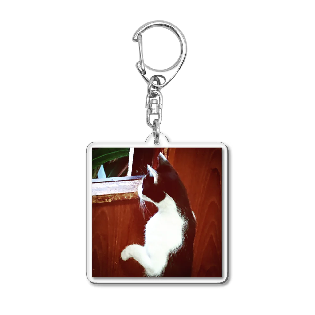 天光のねこ部屋の窓際のプリンちゃん Acrylic Key Chain