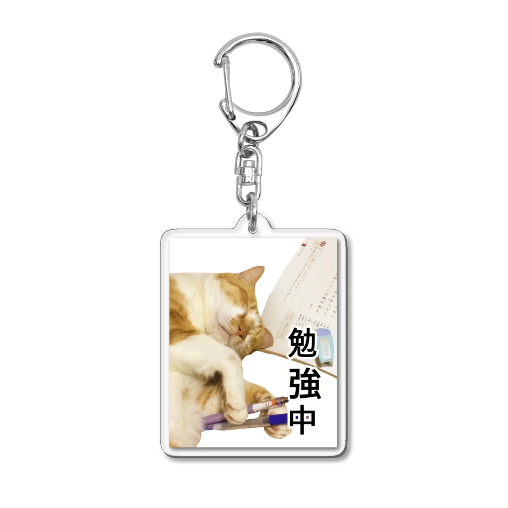 天光のねこ部屋のココアさんはお勉強中(笑) Acrylic Key Chain