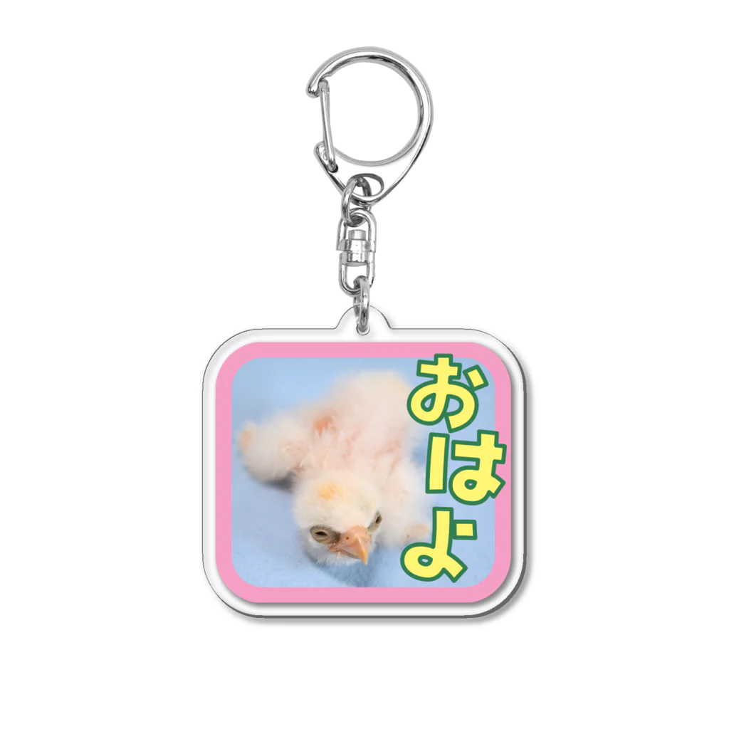 猛禽とインコの孵化４日目・隼ヒナおはよう Acrylic Key Chain