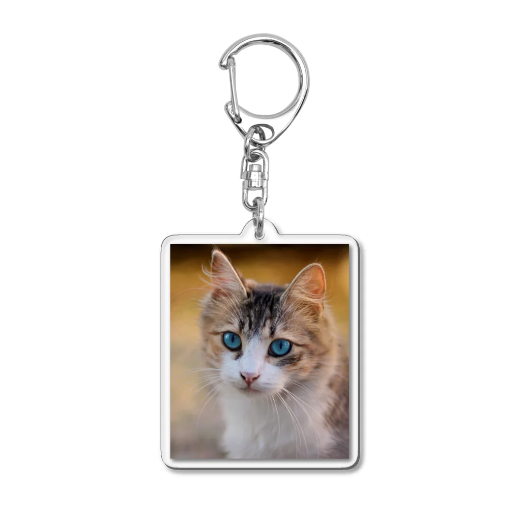 猫アートグッズのAdina Voicu 《Tabby cat with blue eyes》 Acrylic Key Chain