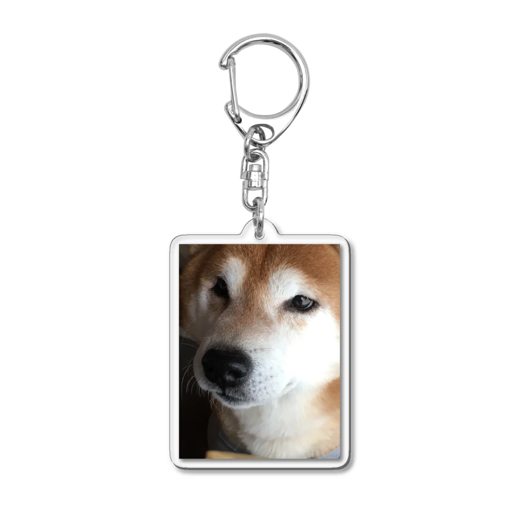 しゃったーみゅーじあむのくださいな Acrylic Key Chain