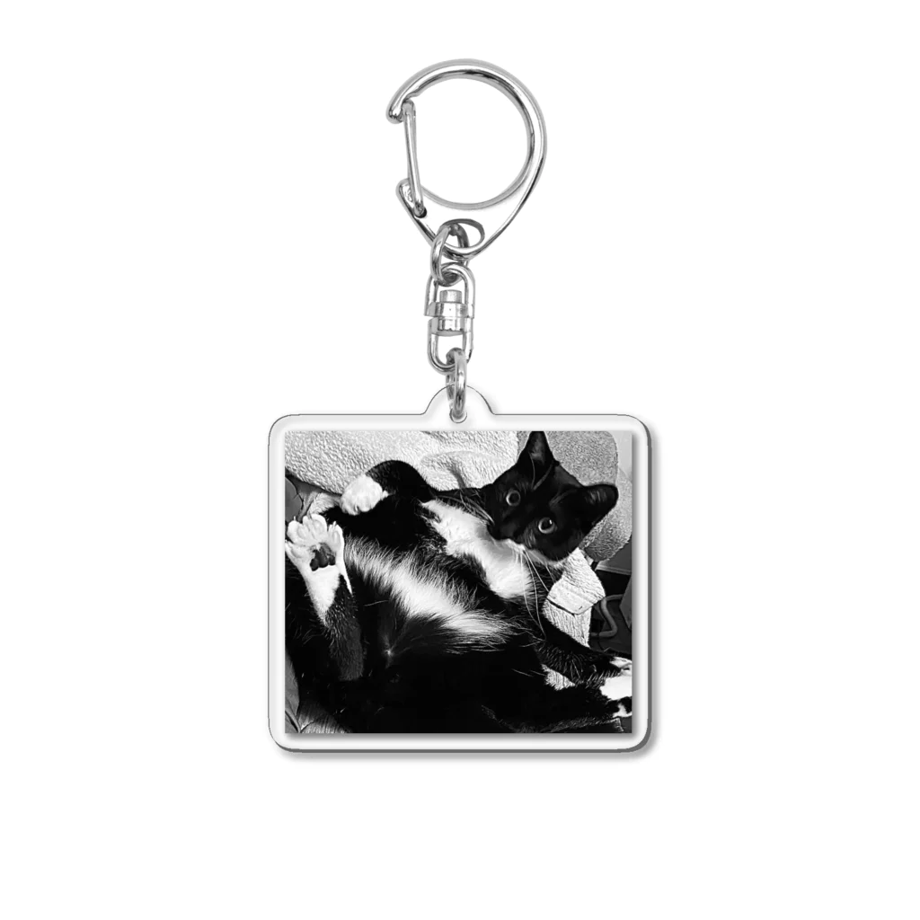 terumbaのsexy cat Acrylic Key Chain