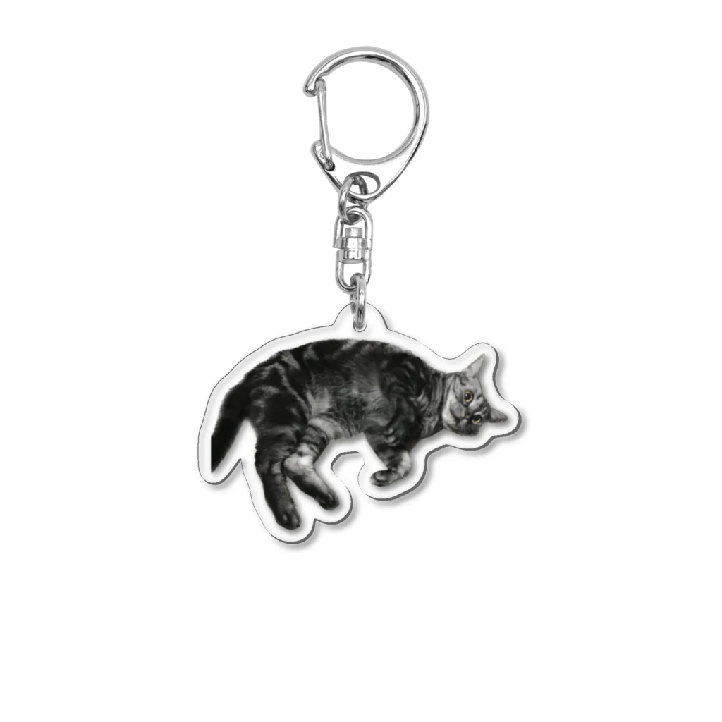 アメショーのひめちゃんのアメショーのひめちゃん⑥ Acrylic Key Chain