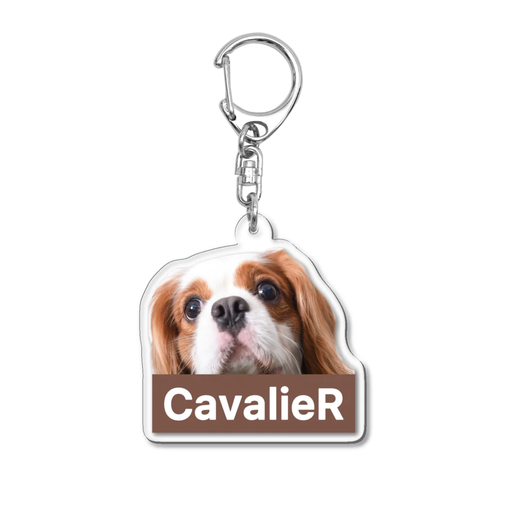 CavalieR【キャバリアール】のCavalieR キャバリア アクリルキーホルダー