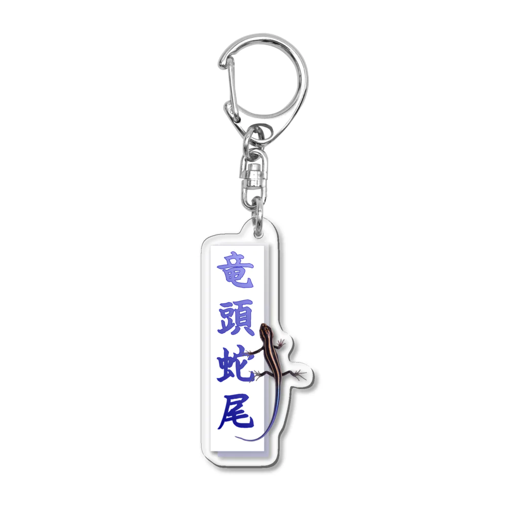 アニマル四字熟語のアニマル四字熟語　「竜頭蛇尾」トカゲ Acrylic Key Chain