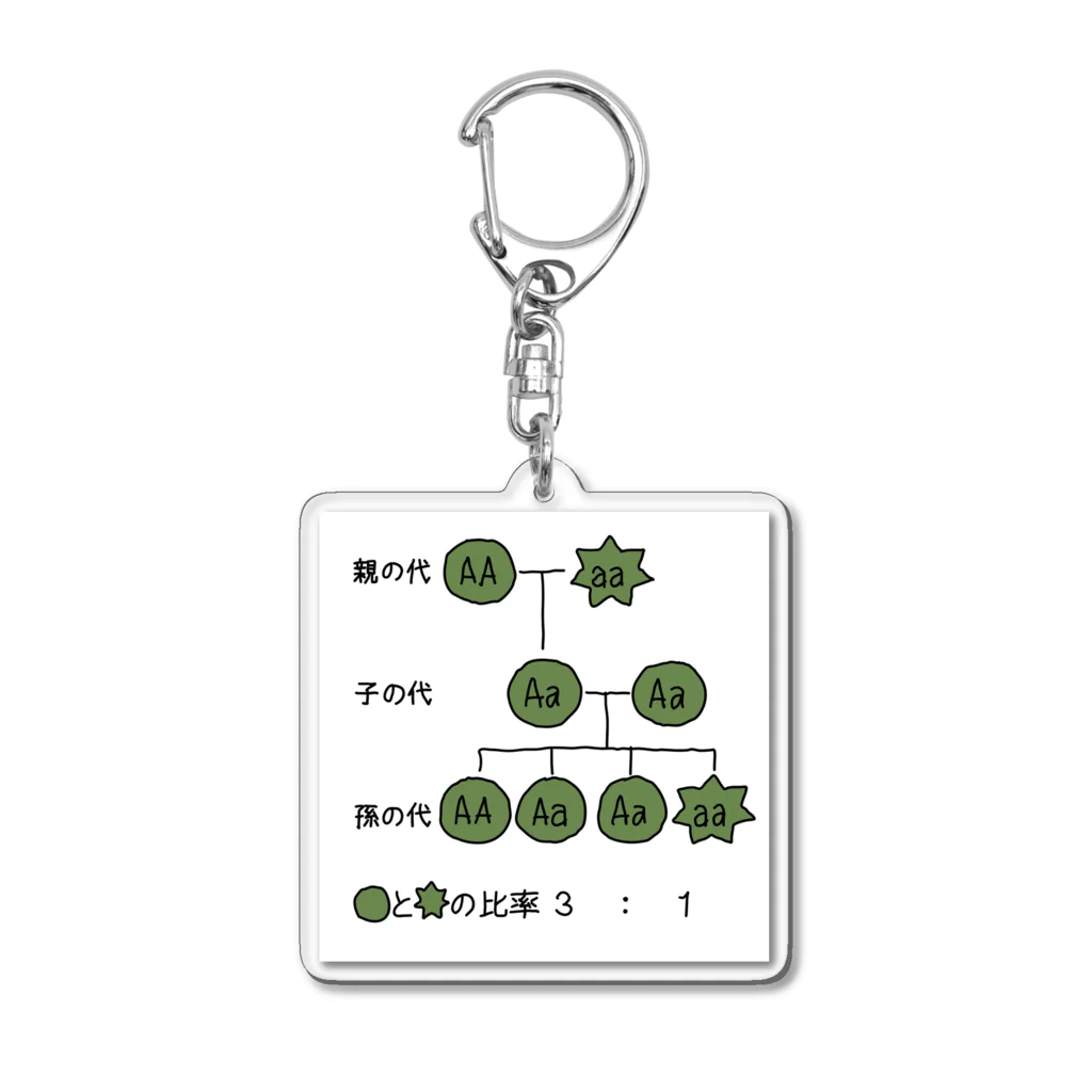 Tシャツで学ぼうのメンデルの法則を学ぼう Acrylic Key Chain