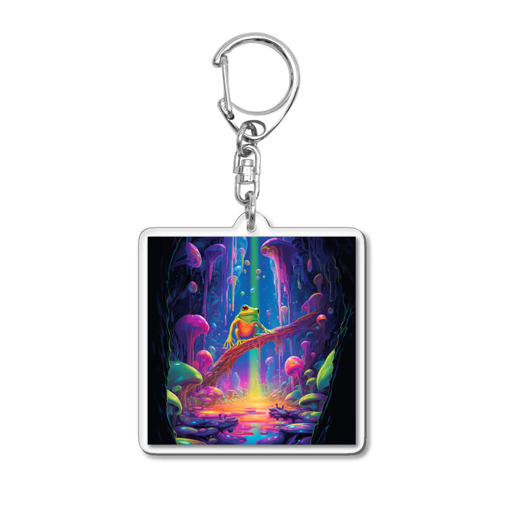 violetpennes23のカエルの洞窟 Acrylic Key Chain