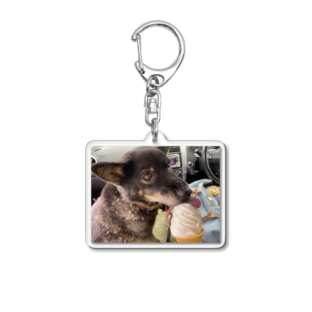 oculophiliaahのわお Acrylic Key Chain