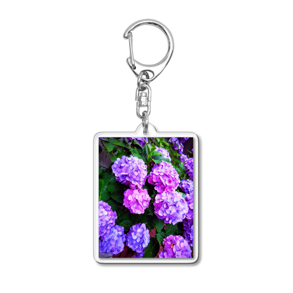 💚ぱなえてんてー💚の紫陽花(梅雨) Acrylic Key Chain