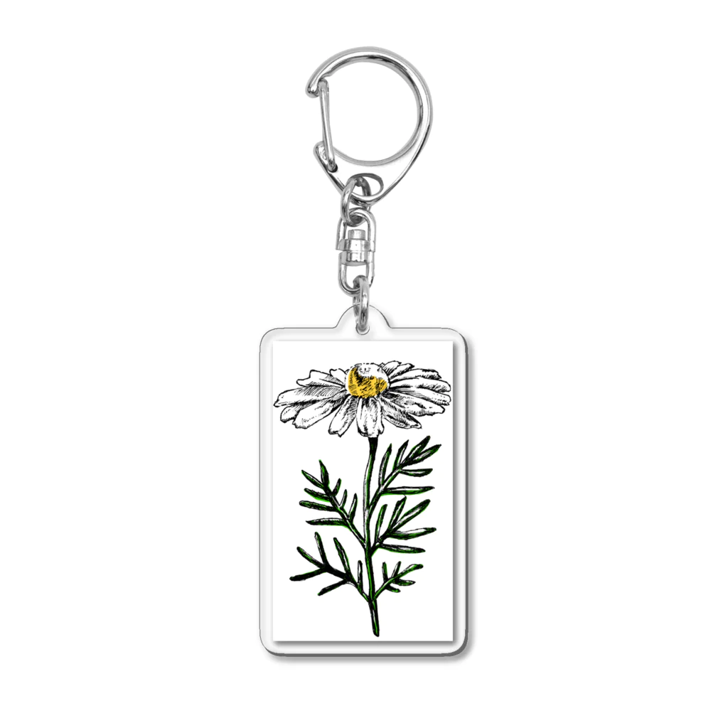 ペンで描く植物の詩のchamomile(カラー) Acrylic Key Chain