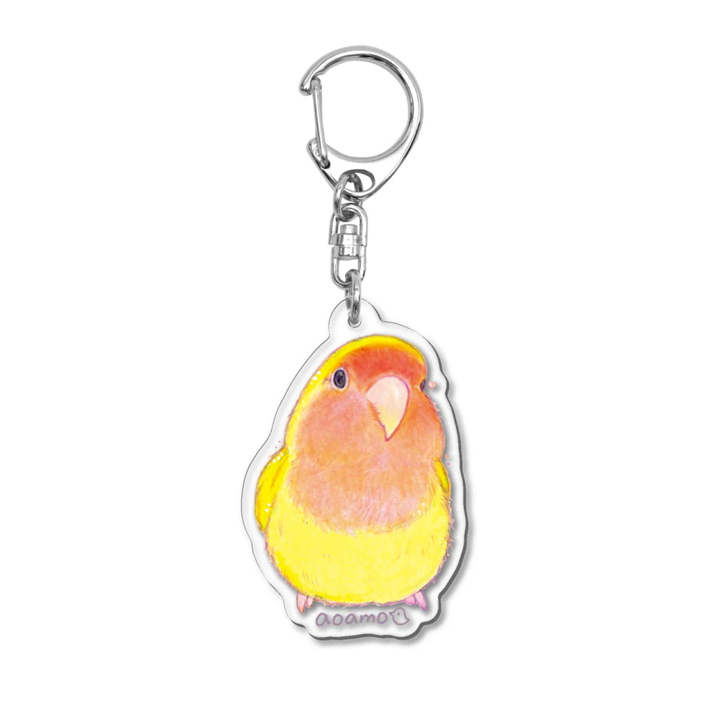 aoamo shopのコザクラインコゴールデンチェリー アクリルキーホルダー