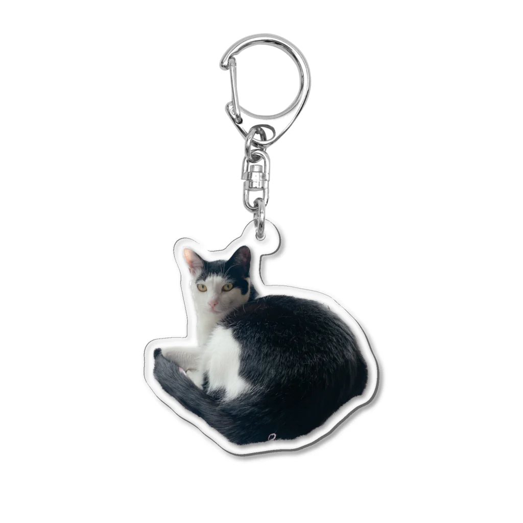 QDAのDAIZU Acrylic Key Chain