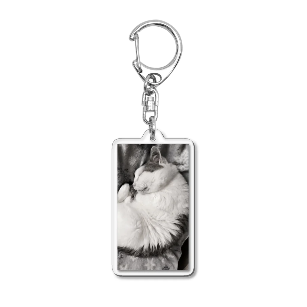 KAZU SHOPの可愛い猫のお昼寝　癒し Acrylic Key Chain